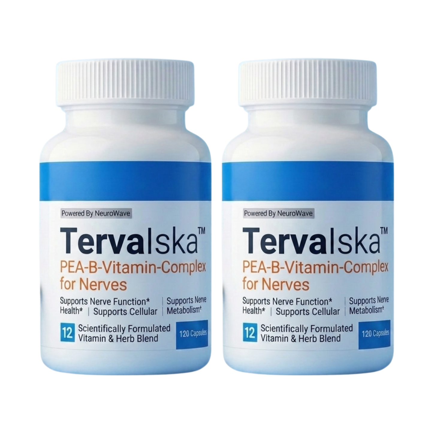 TervaIska