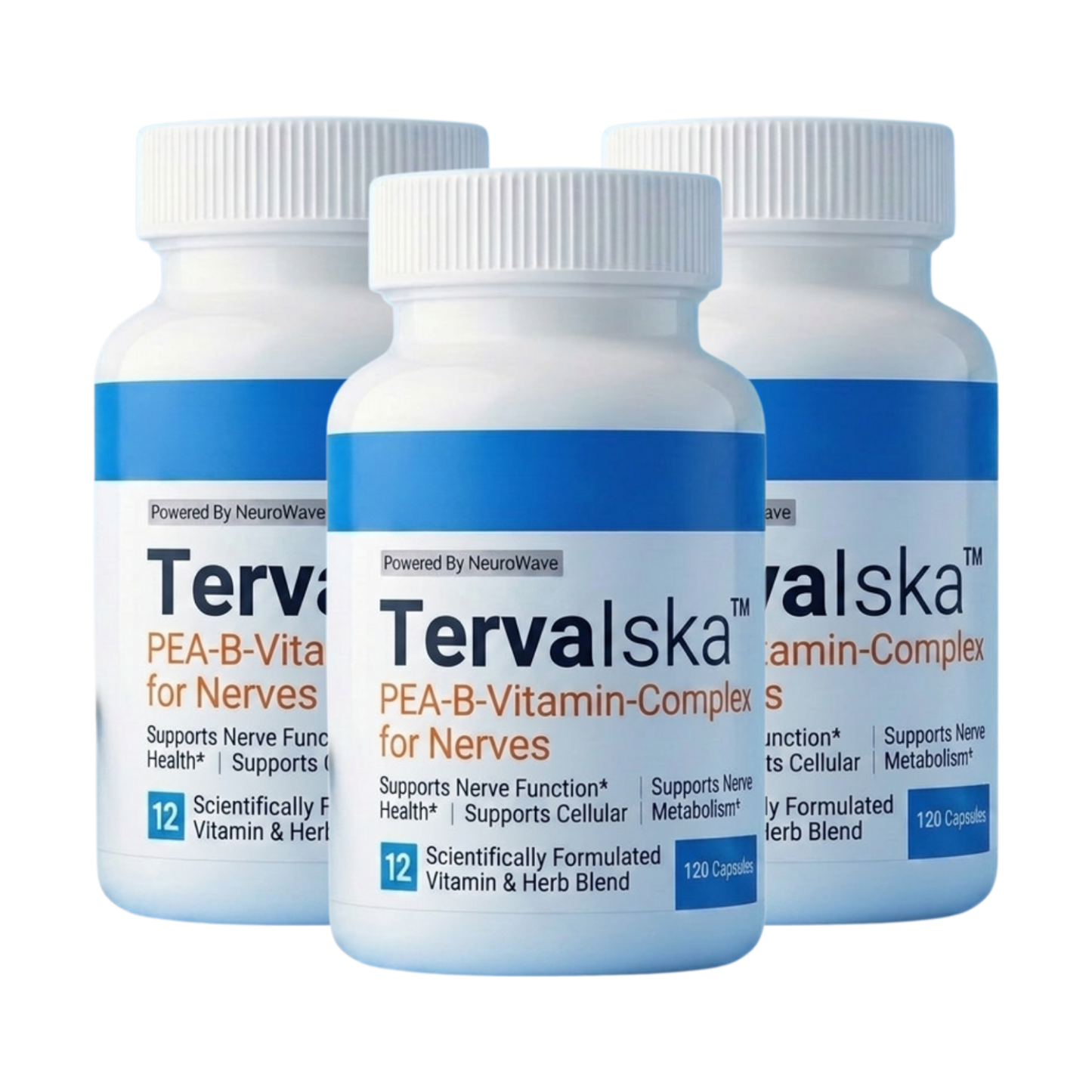 TervaIska