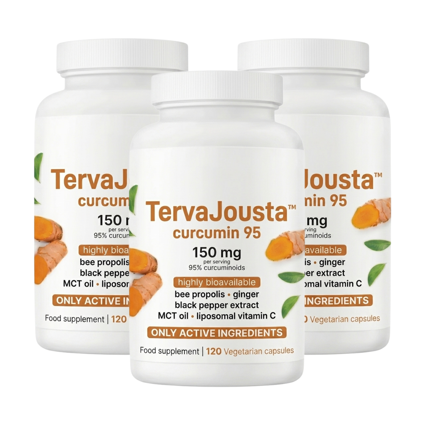 TervaJousta