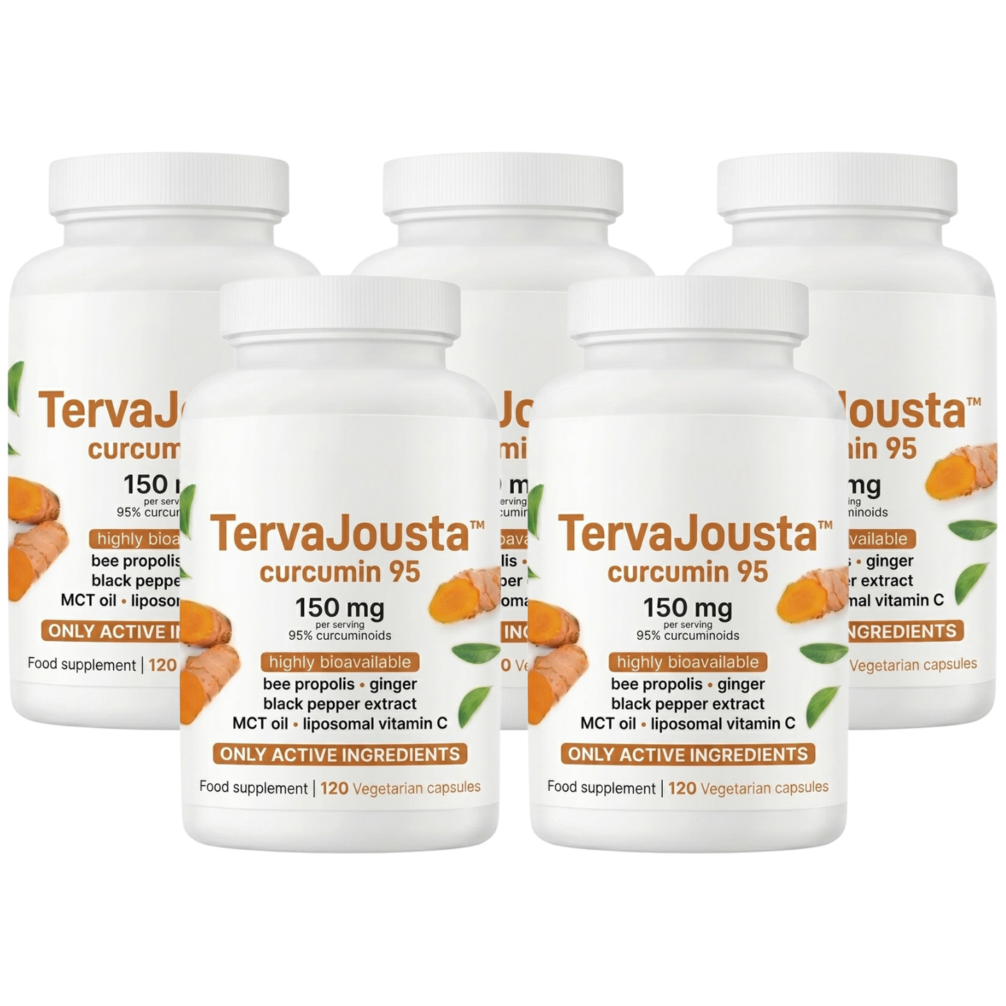 TervaJousta