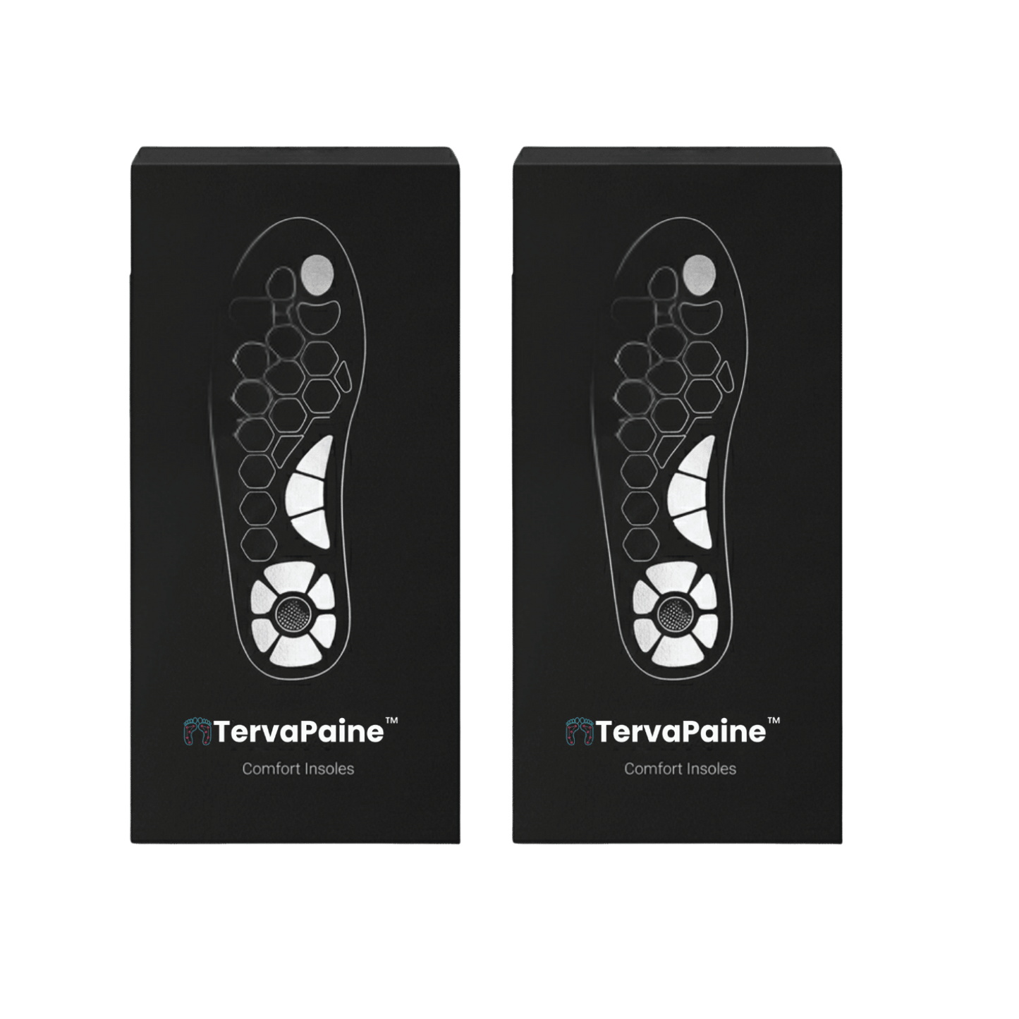 TervaPaine-V2