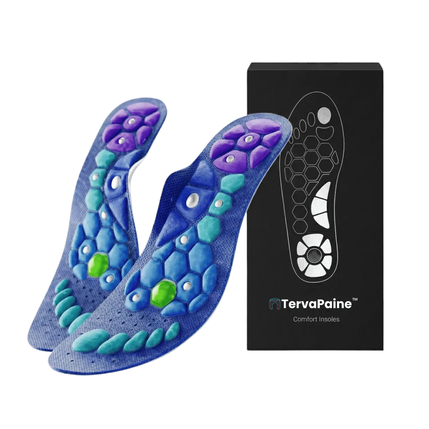 TervaPaine